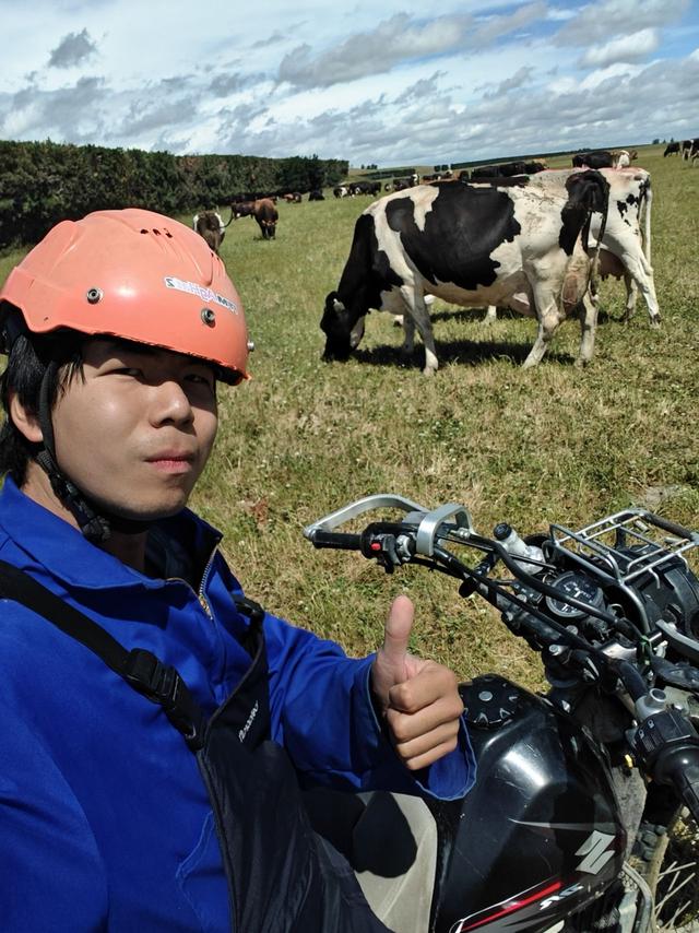 “攒下一笔钱”：一天2000元，中国背包客澳洲打零工