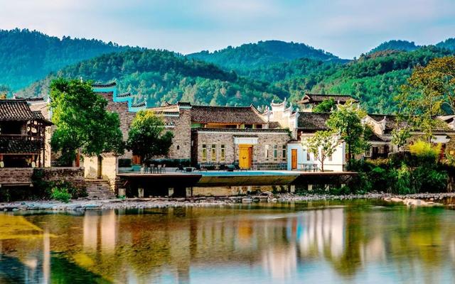 千年银杏韵，金黄满地诗，金色海洋游玩攻略来了！