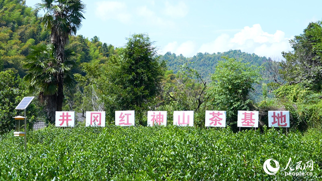 行进中国丨神山焕新