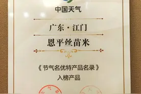 秋分节气全国名优特产品名录发布，“恩平丝苗米”上榜图片