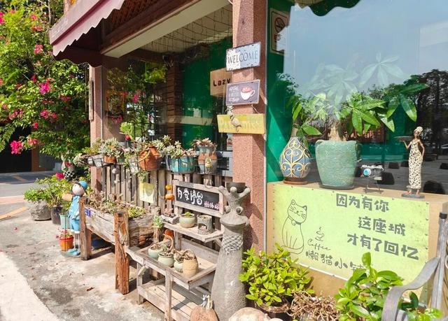 碉楼秋韵，揽胜塘口！快来开平这里把整个秋天“揽"入怀中