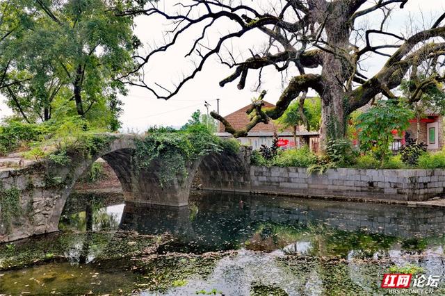 跟着网友游桂林丨大圩镇上桥村：水墨般的古村，藏着你向往的宁静