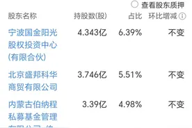 ST新潮突遭百亿要约收购 收购方被举报存违法违规嫌疑图片