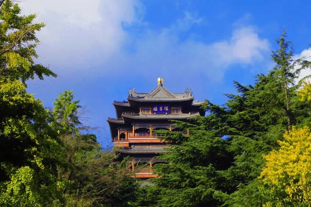 收藏！威海秋天6个超浪漫出片打卡点→