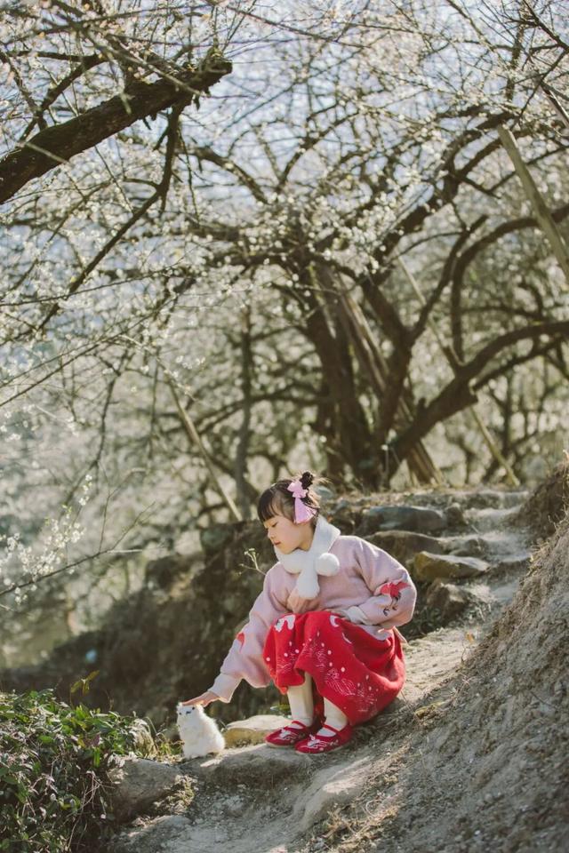 赏梅直奔福州这里，这片“雪海”太惊艳了！