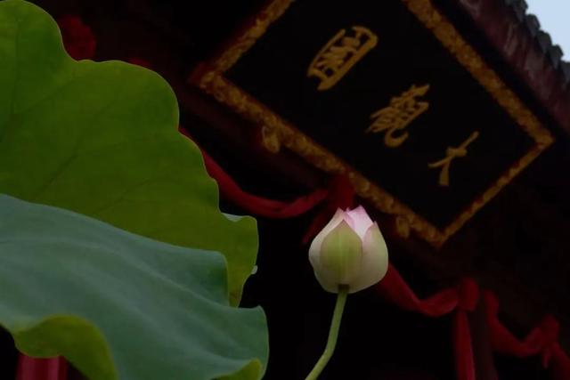 集章党狂喜！“魔都路引”带你集邮青浦，方寸之间尽藏江南风韵