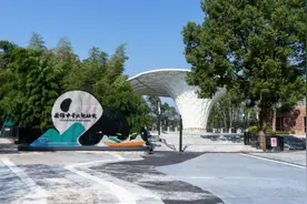 大美江湖·天下岳阳 | 媒体总编辑们探访岳阳中华大熊猫苑，偶遇“颜值天花板”图片