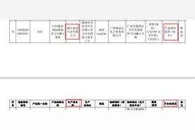 浪莎内衣再上监管“黑榜”、郎朗、吉娜夫妇“结伴”七夕宣传：最近五年内衣营收整体下滑四成，营收占比降至不足三成图片