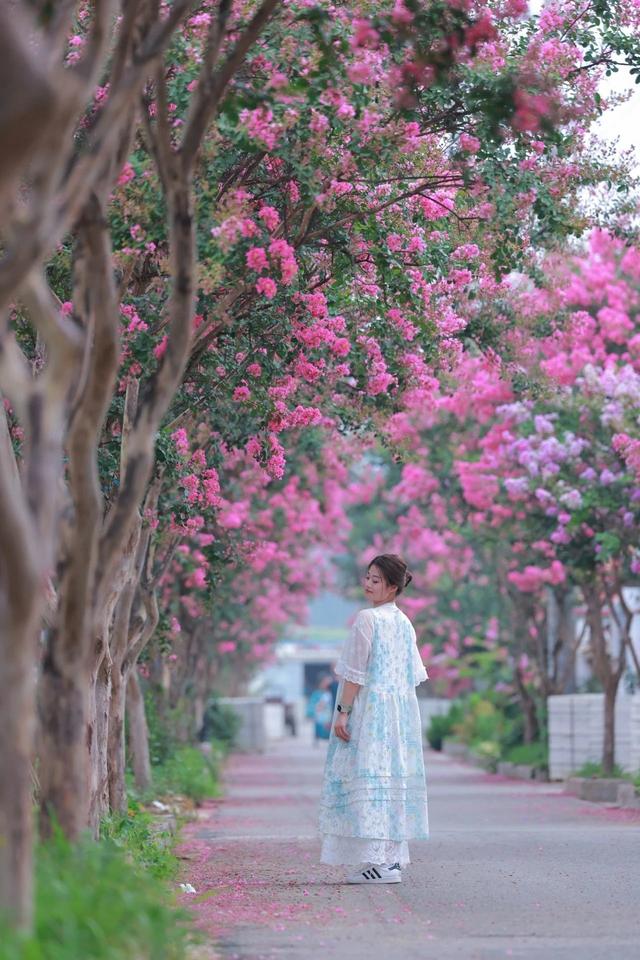 沉醉于花海！日照这个村，太美啦！