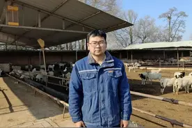 委员风采 | 吴忠市政协委员王雪枫：“新农人”返乡创业 助力乡村振兴图片