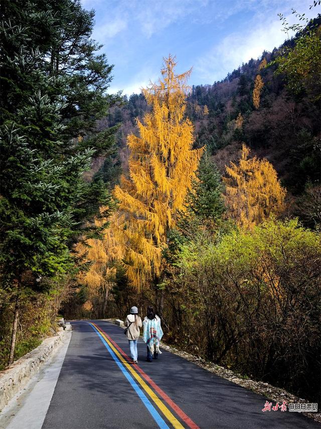 秋染官鹅沟 醉在山水间