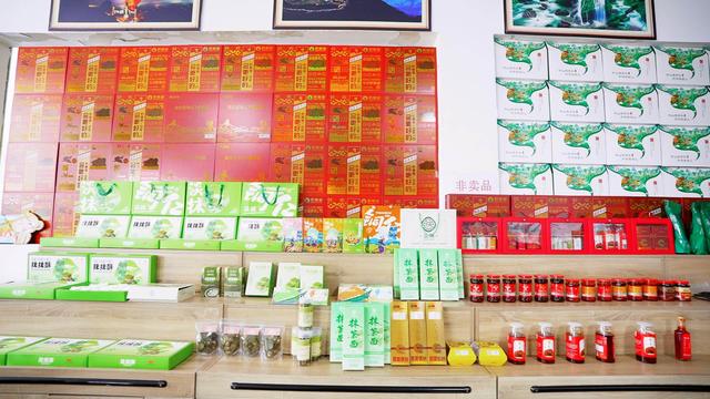 从深山到湾区：东西部协作激活梵净山下的N种可能