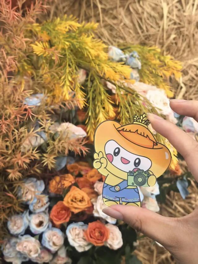 举张透卡逛罗泾！解锁宝山秋日新玩法，一起拍爆朋友圈~
