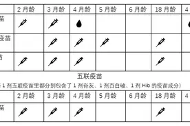 家长必看！2025年最新儿童疫苗接种时间表一览→图片