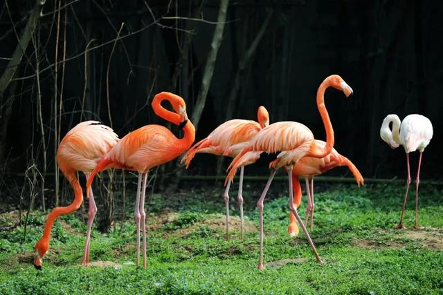 初冬的第一场旅行不如“进山游”→
