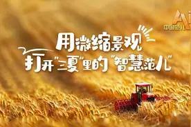 AI微缩景观 打开“三夏”里的“智慧范儿”图片