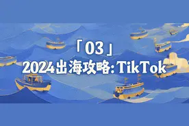 低价商家，玩不转TikTok图片