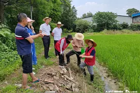 广州首批57名农技特派员来了，将下沉“百千万工程”典型村图片