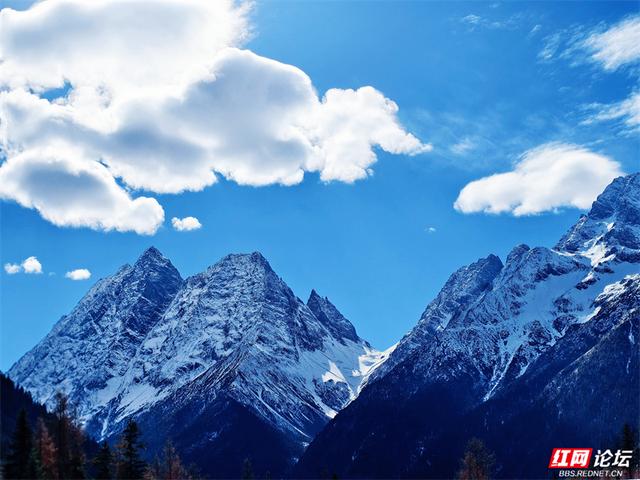 听，雪落下的声音！这里是四姑娘山的冬天