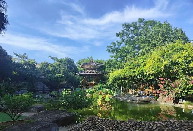 刚开学就想放假？打工人想“去班味”？快来柳江纳凉出片赏美景、吃喝玩乐悦身心