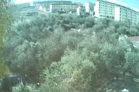 青海门源凌晨多处监控显示天空突然亮如白昼，持续几秒，多部门回应图片