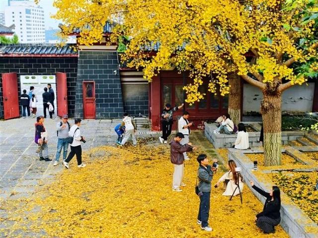 超美超出片！荆门这些宝藏地，附详细打卡攻略