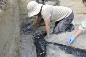 50万年前人就会盖房？赞比亚出土原木结构件图片