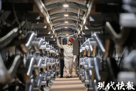 打通苏北绿电入宁“最后一公里”，南京望江-莫愁220千伏线路工程投运图片