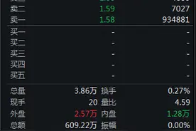 皇氏集团、美晨科技开盘一字跌停，两家公司同日被证监会立案图片