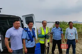 武汉阳逻江边惊现鳄鱼，长航警方联合多部门处置图片