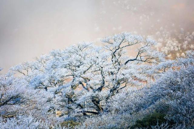 多地下雪！广西限定版“冰雪世界”已上线