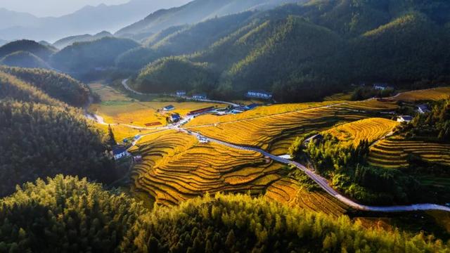 在江西，拾得江南的半阙秋声