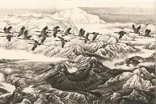 高于高原的精神坐标（报告文学）图片