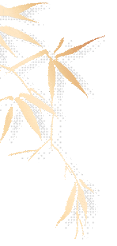 汉服出行日丨汉服雅聚 孔庙寻韵