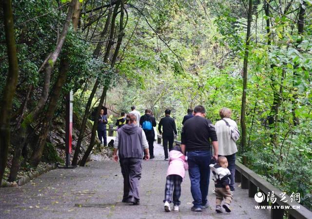 双节乐游商南：在红叶、民歌与云雾中邂逅诗与远方
