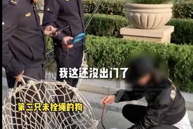 一地城管严查遛狗不栓绳，发现就暂扣，回应：出了家门就属于公共区域图片