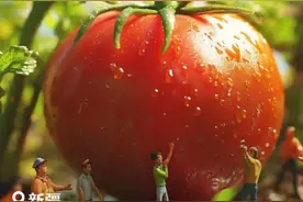 北纬38度！原来这么浪漫图片