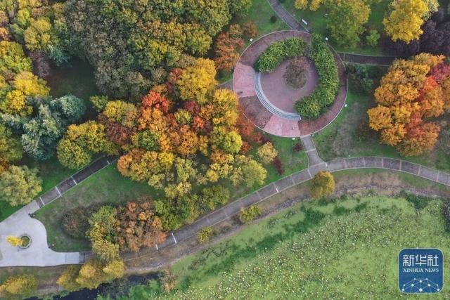 秋声渐杳 斑斓成诗