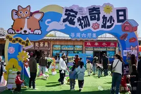 首届狗狗运动会！就在日照这个市集！时间定了图片
