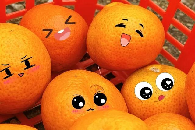 出发！高明遛娃采摘攻略来啦，甜度爆表（附定位）