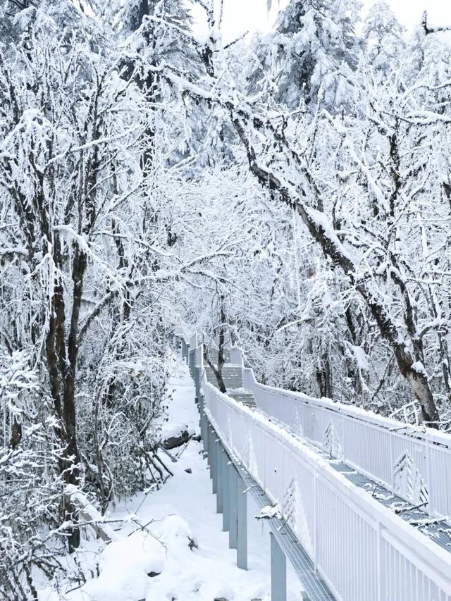 今日多地下雪！冰雪世界的川西正式上线