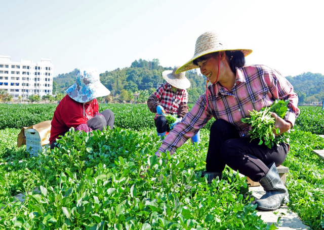 新潮！梯面解锁休闲乡村新玩法~