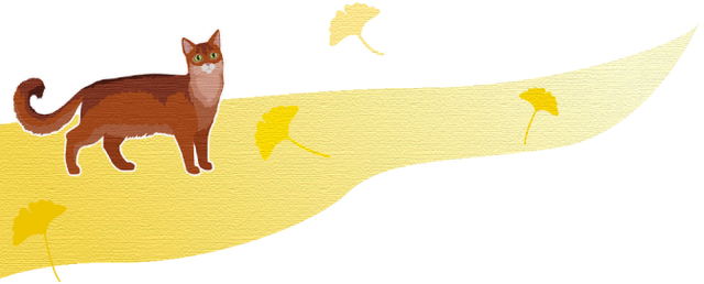 金灿灿！宜都限定美景上线！