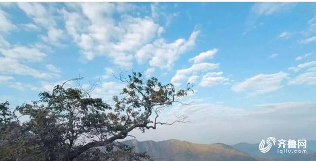 组图丨一大波美图来袭！泰山景区9个赏秋地超出片