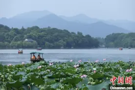 杭州推进行李服务一件事改革：以“用心”赢“人心”图片