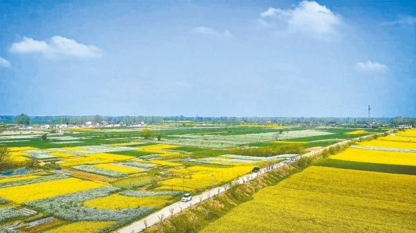 新蔡县：文旅融合赋新能 文脉传承润“水城”