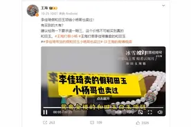 一玉敲打俩顶流，对话王海：爆料李佳琦系偶然，打假没有千万收入图片