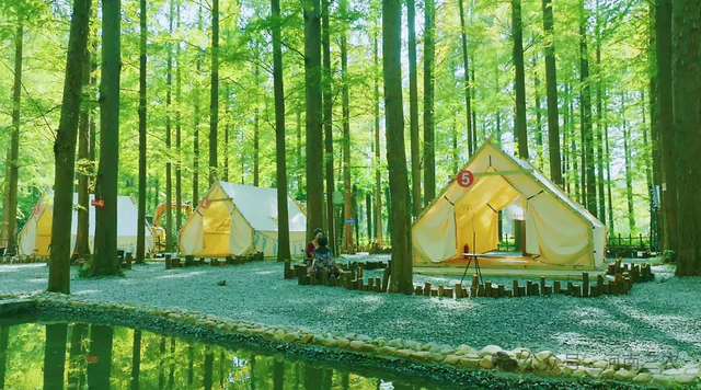 豫见两山 绿色答卷丨生态之旅——打卡“‘豫南明珠’南湾水库”