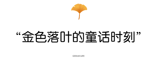 葛店这条“黄金大道”再不看就晚了！