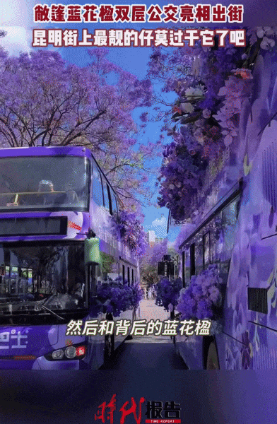 宝藏公交，移动的风景画廊